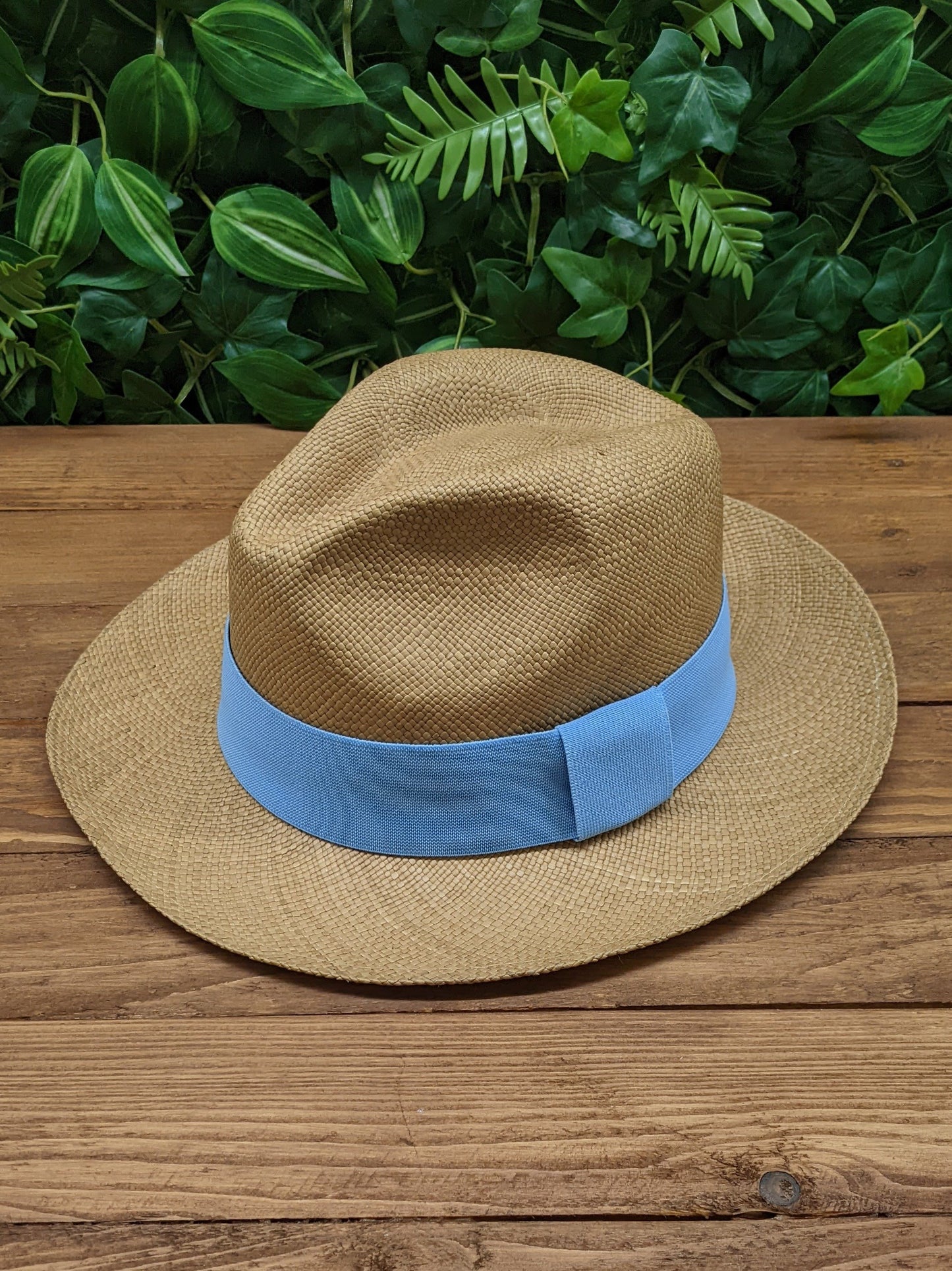 Brown Panama with Sky Blue Band