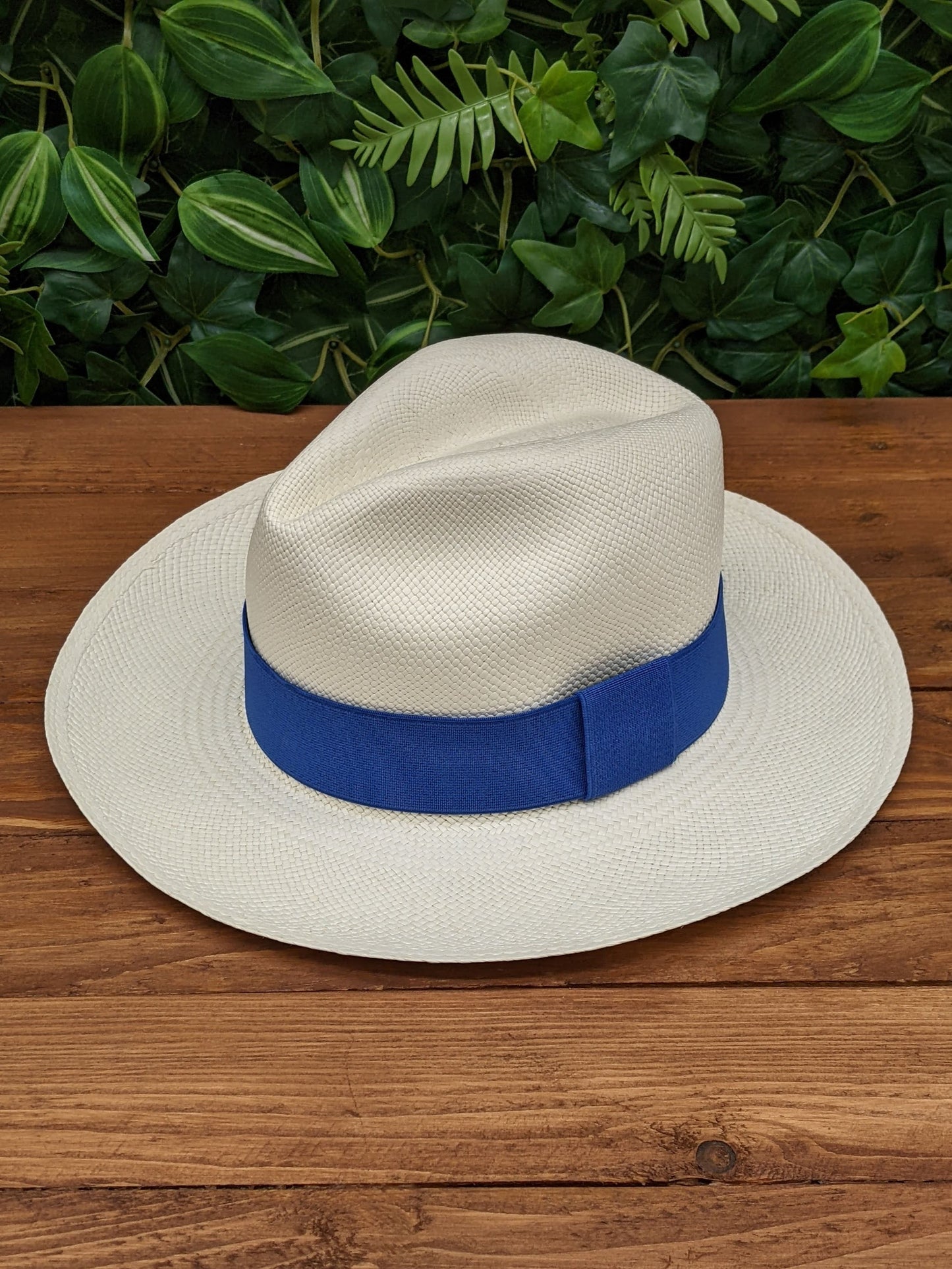 White Panama with Cobalt Blue Band