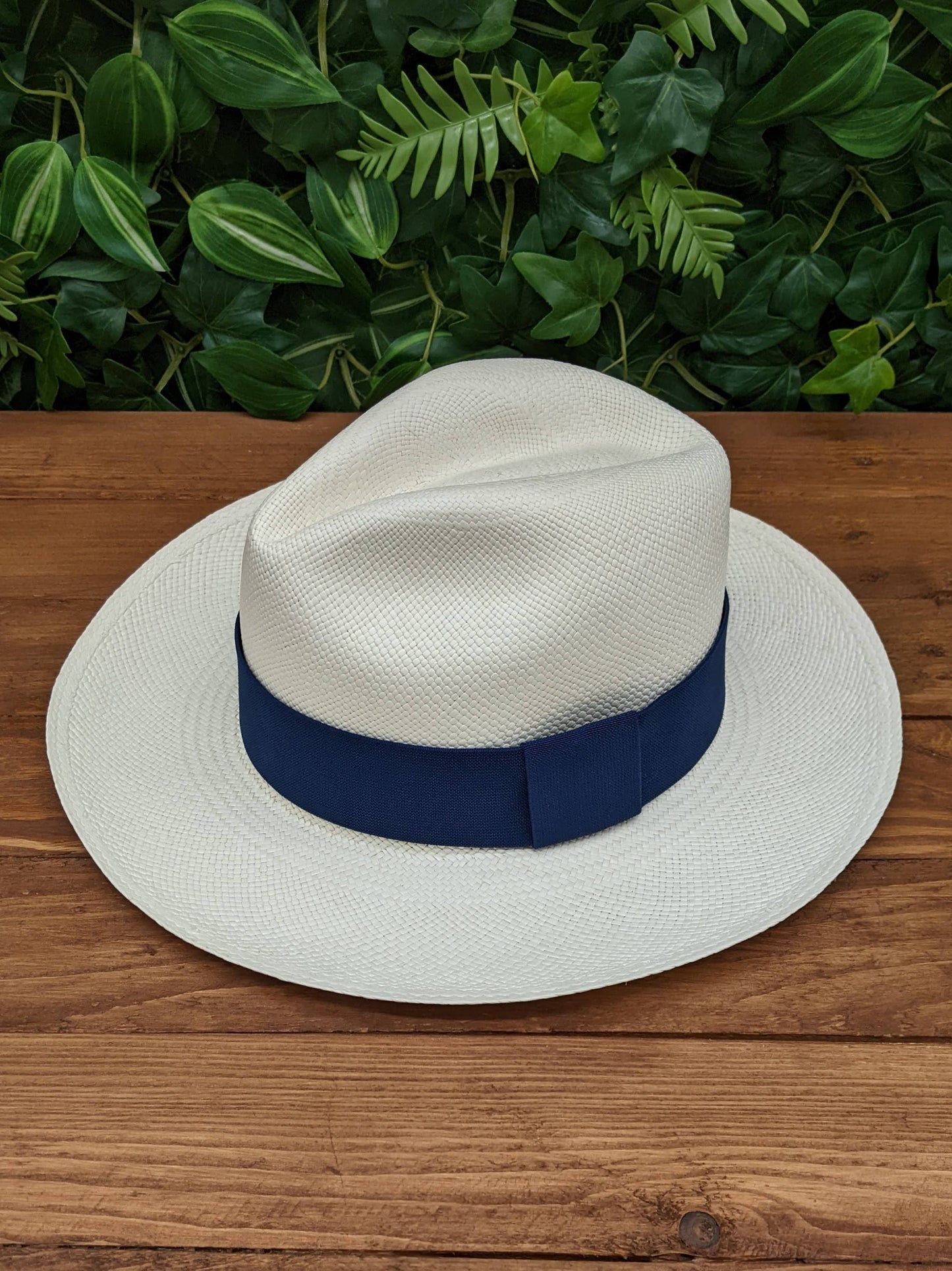 White Panama with Navy Band