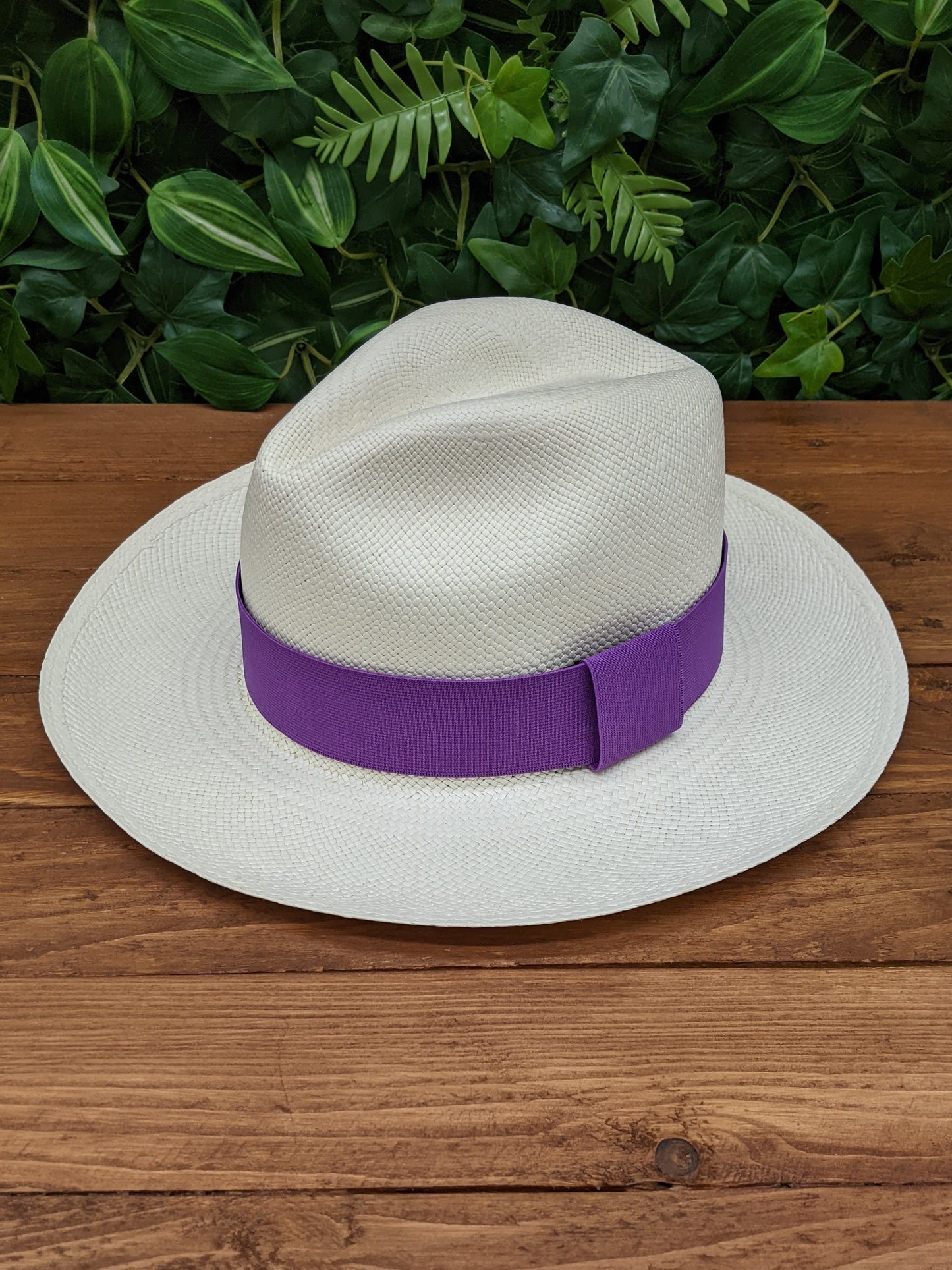 White Panama with Purple Band