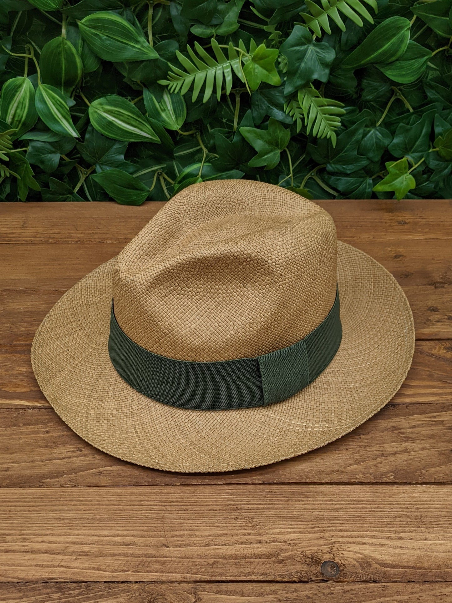 Brown Panama with Olive Band