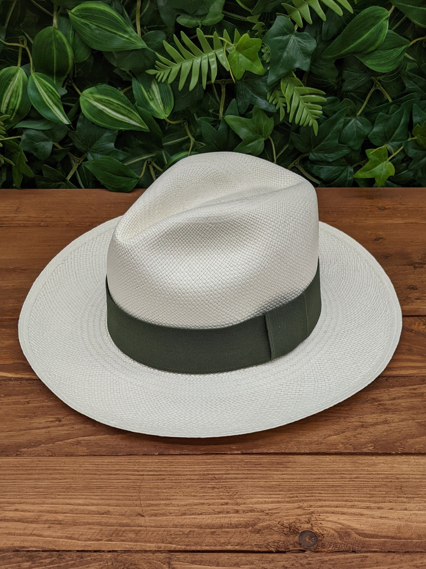 White Panama with Olive Band