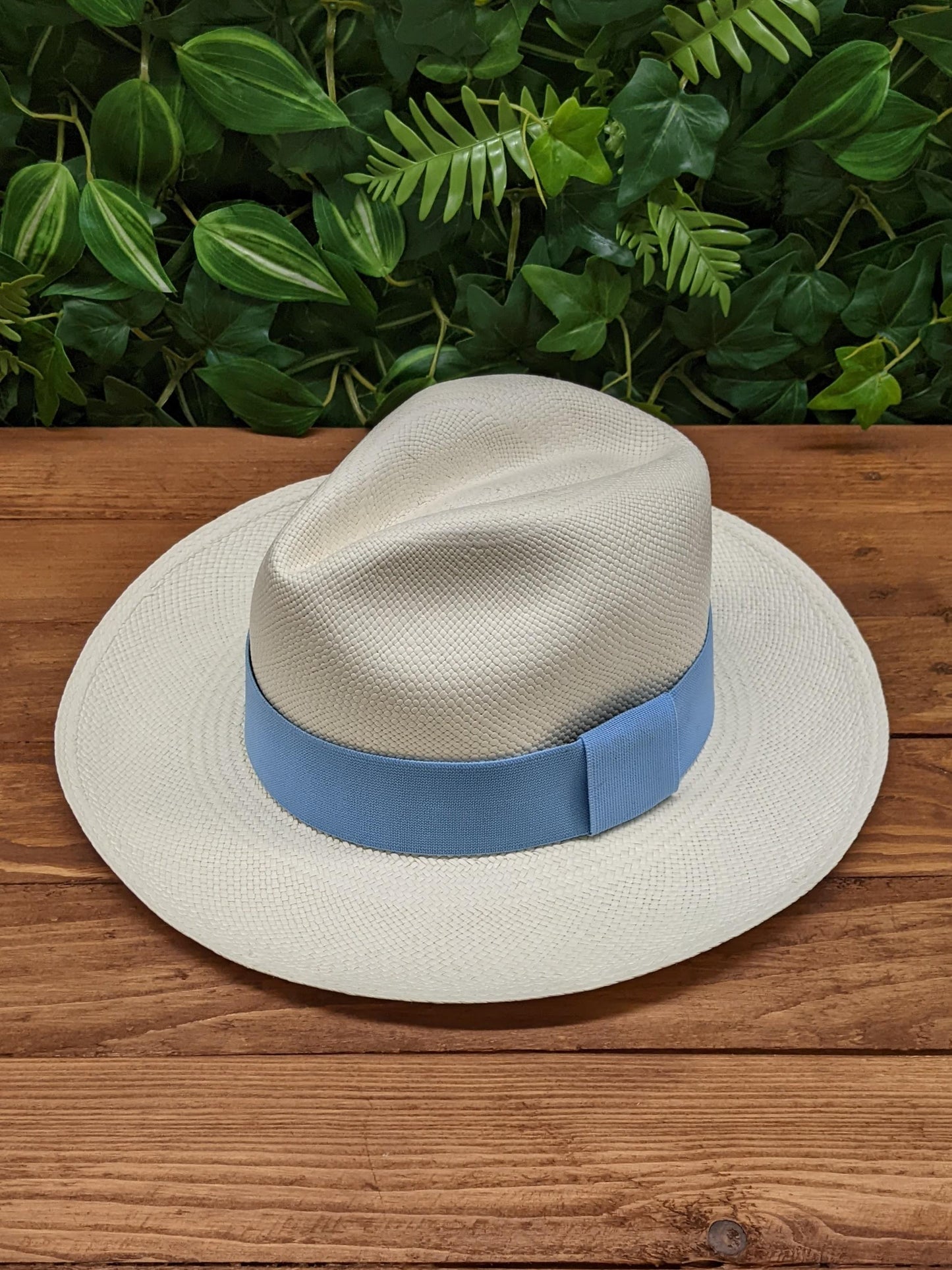 White Panama with Sky Blue Band