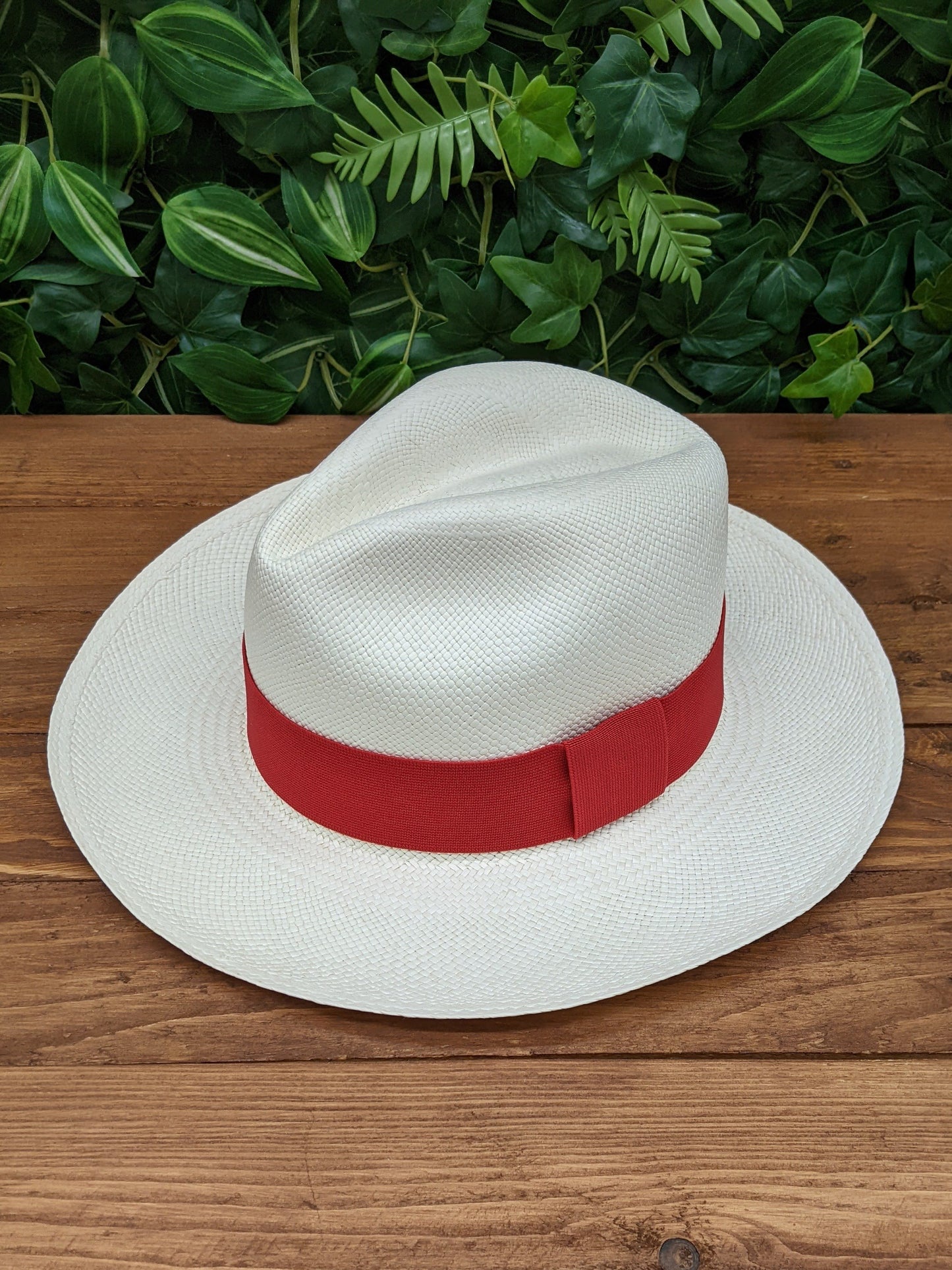 White Panama with Red band