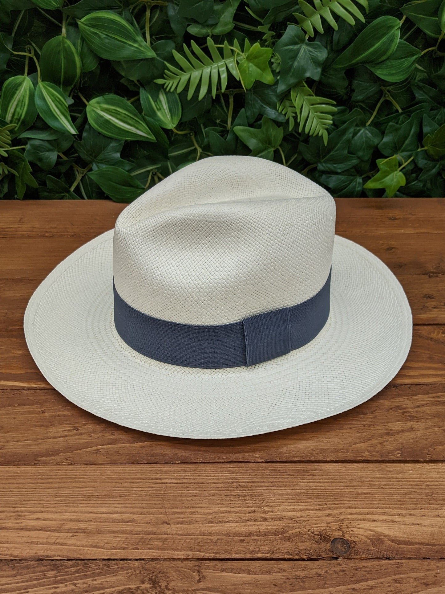White Panama with Grey Band