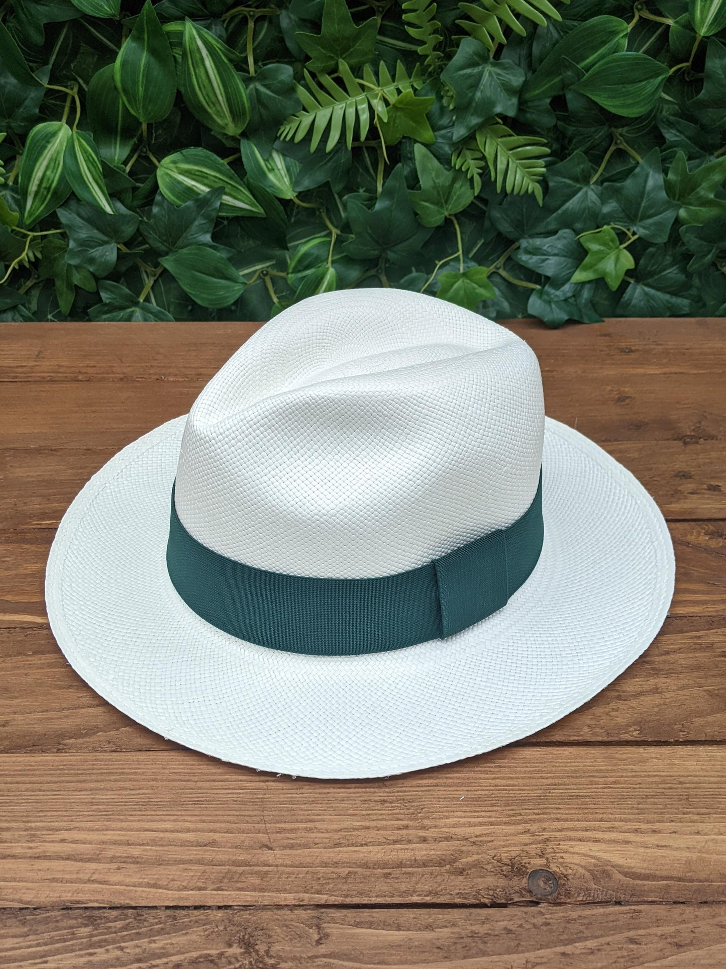 White Panama with Forest Green Band