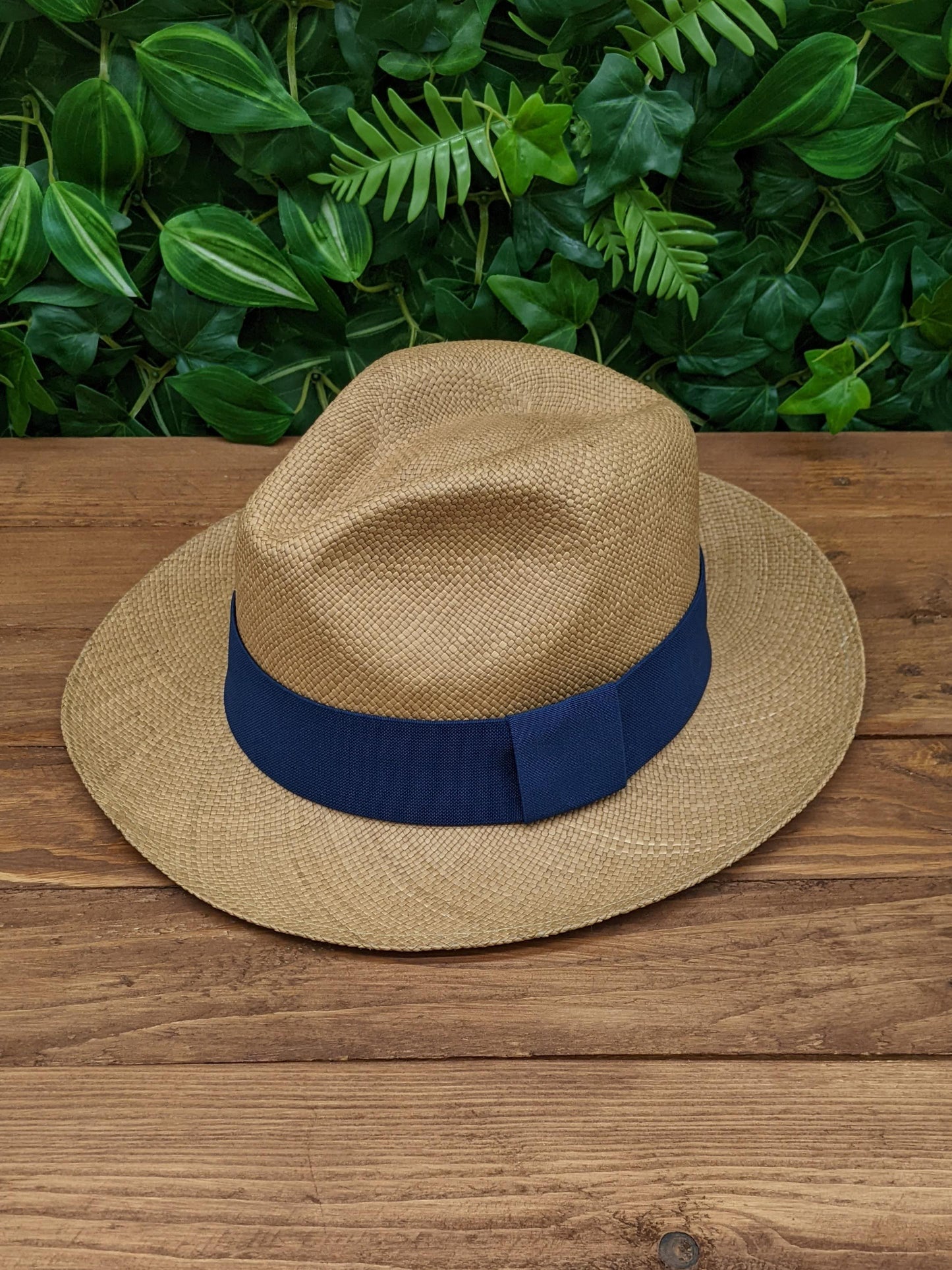 Brown Panama with Navy Band