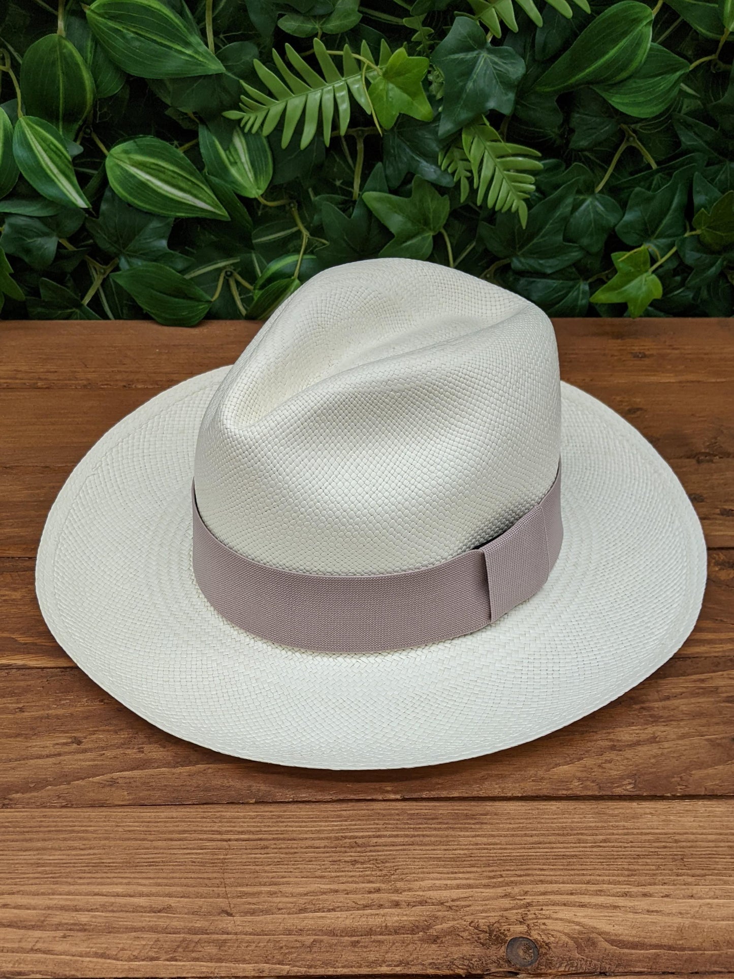 Interchangeable Panama Band - Oyster