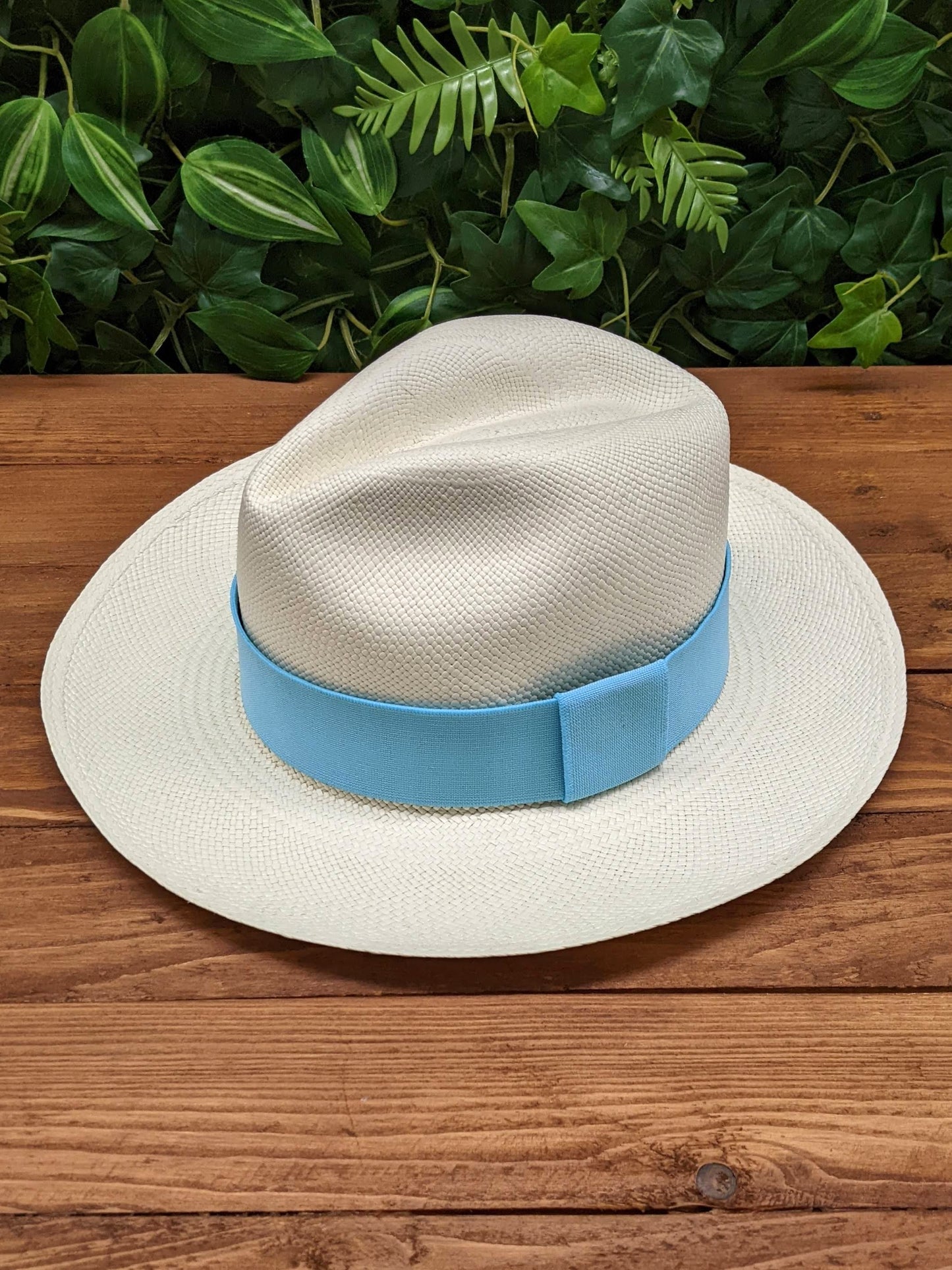 White Panama with Light Blue Band