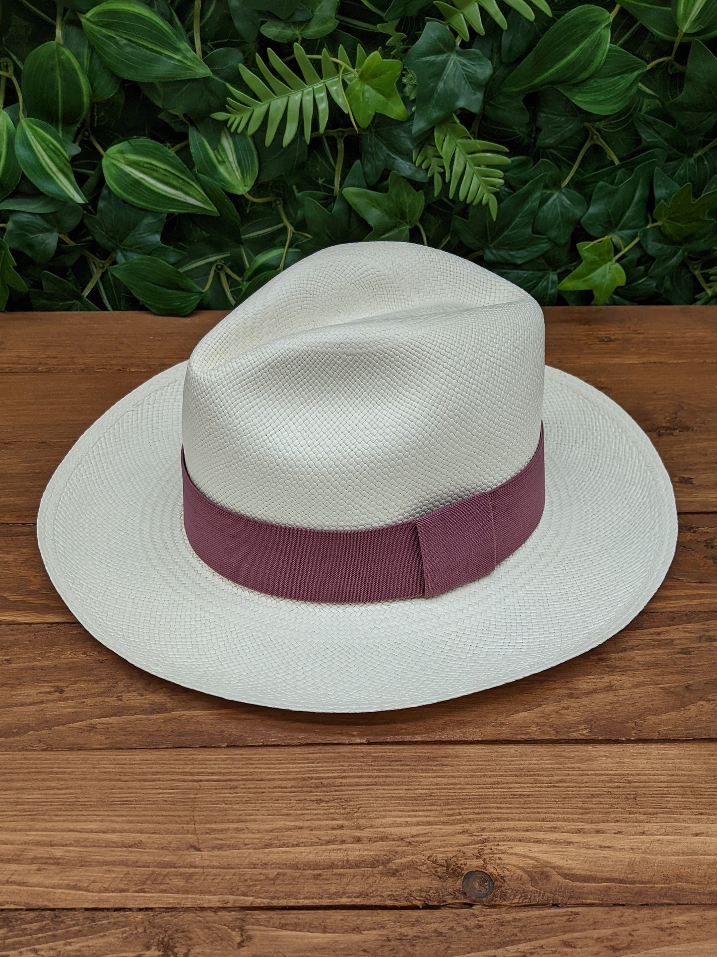 White Panama with Mauve Band