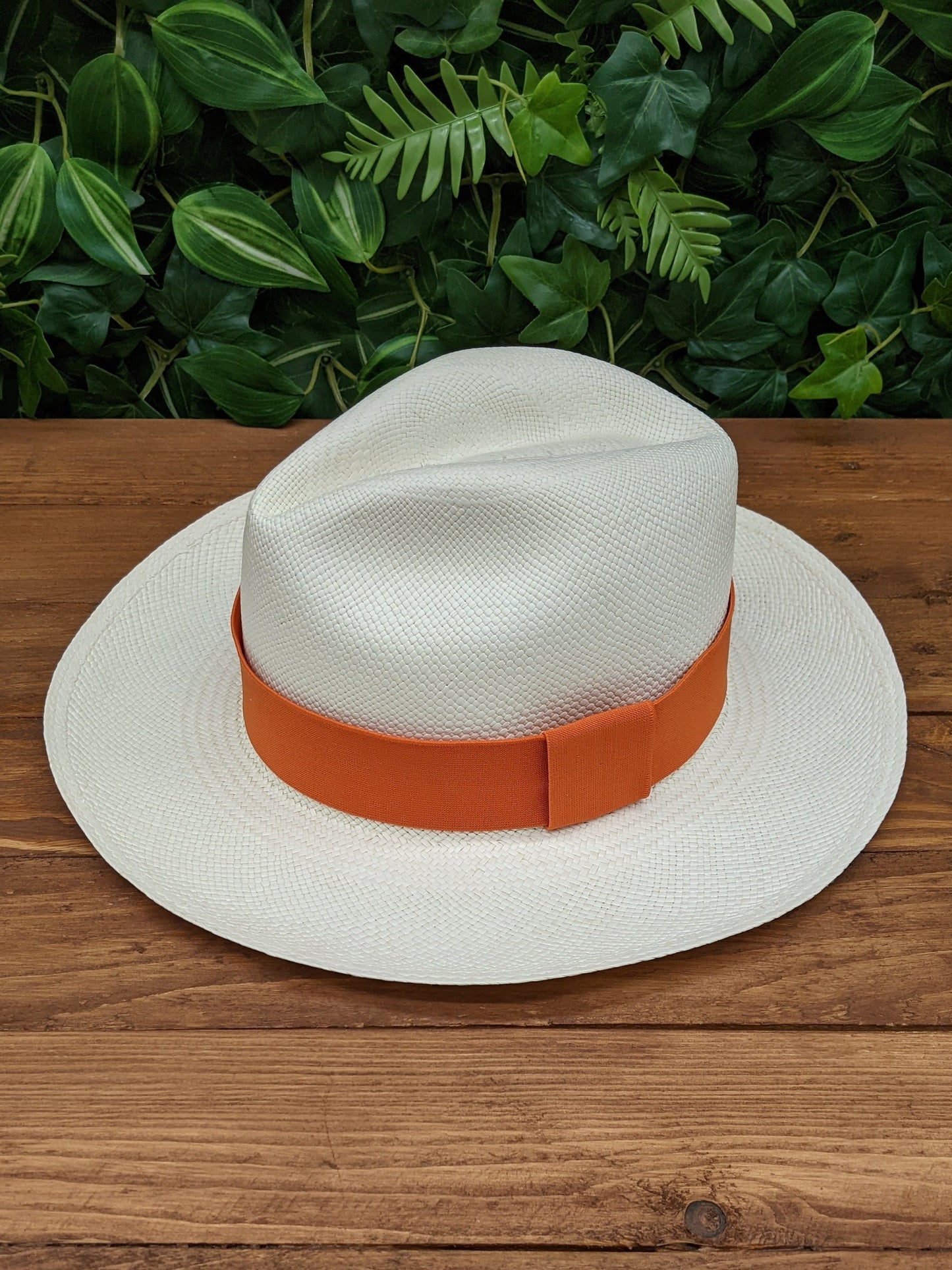 White Panama with Orange Band