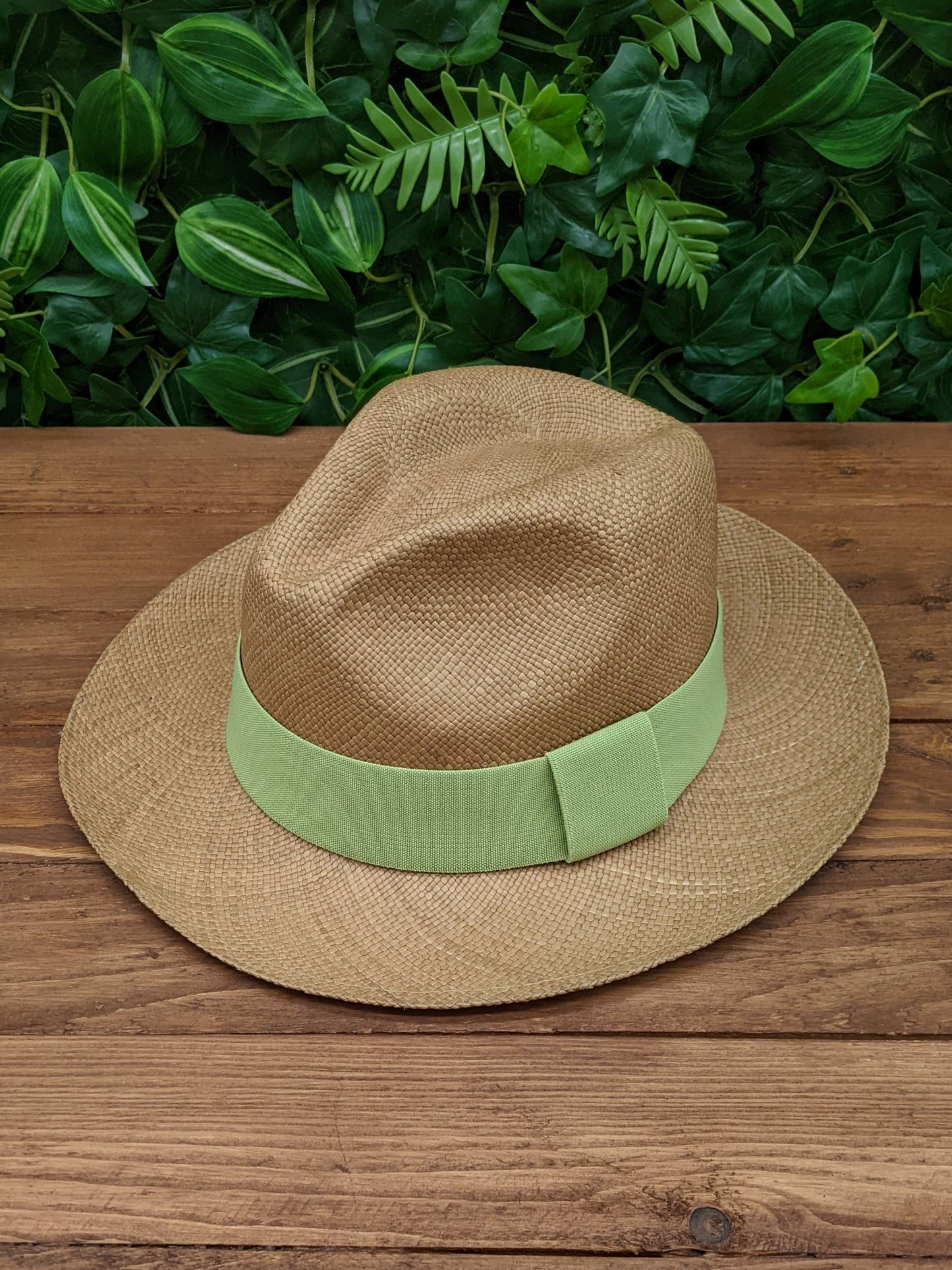 Brown Panama with Pistachio Green Band