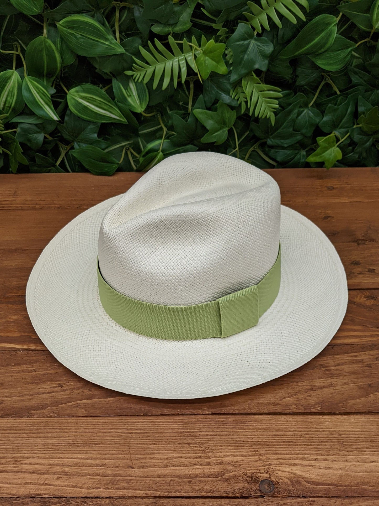 White Panama with Pistachio Green Band