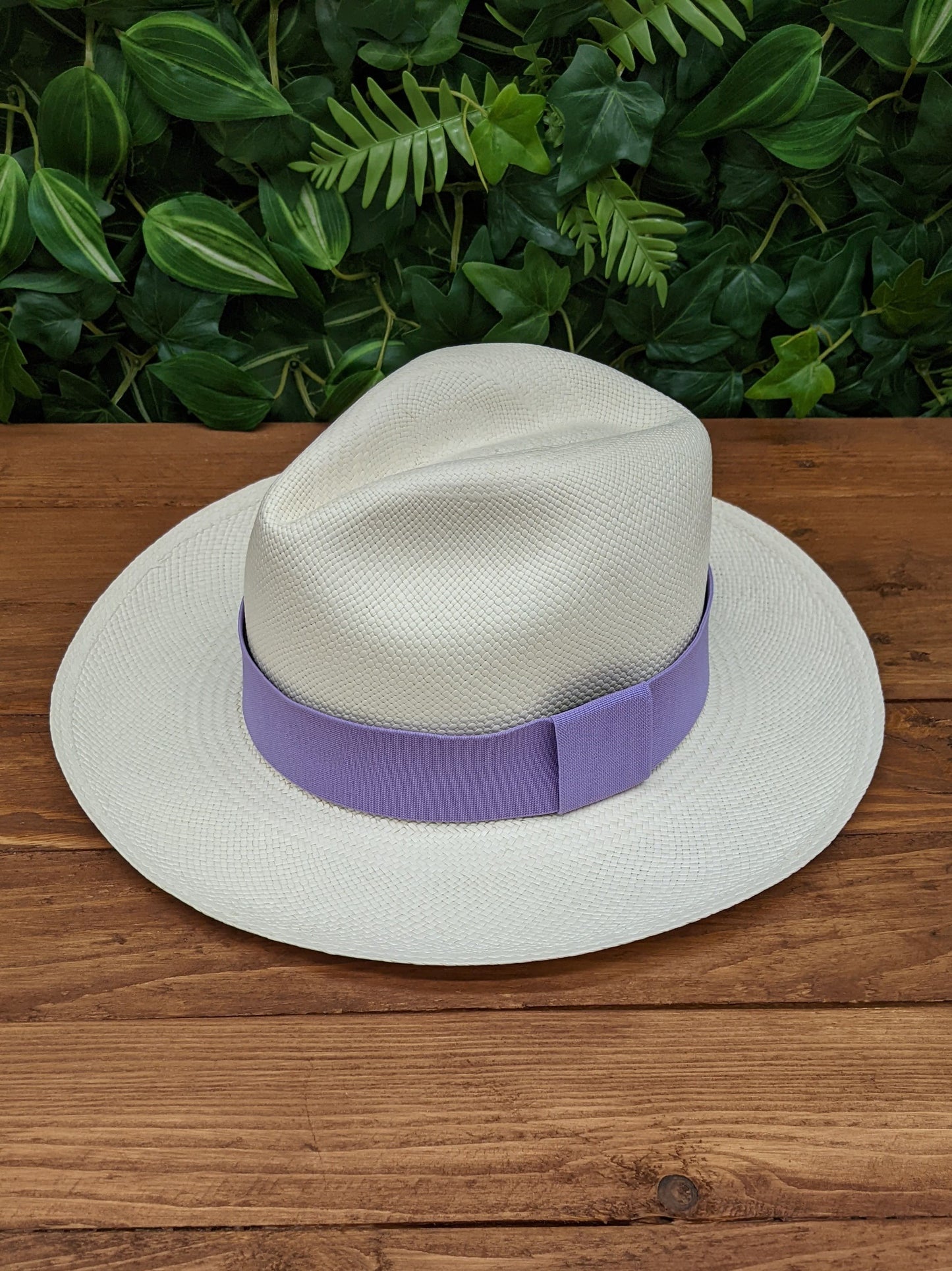 White Panama with Lilac Band