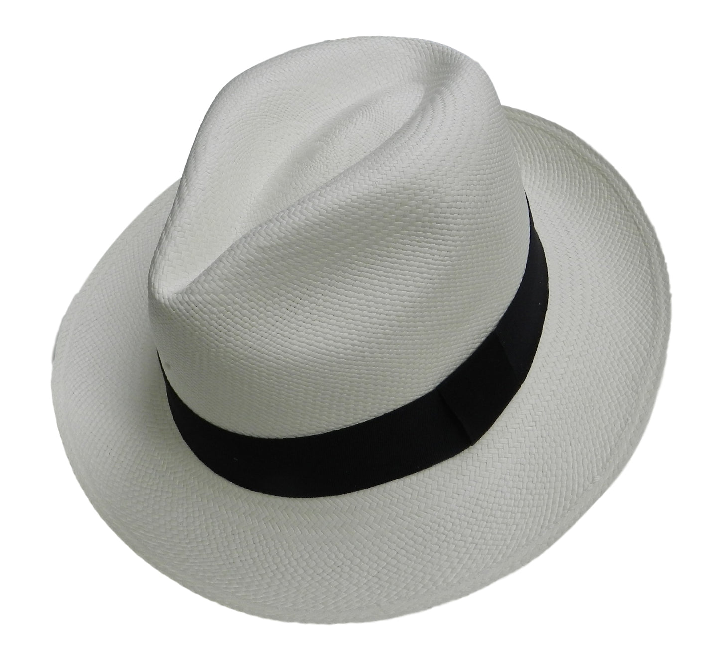 White Panama with Peacock Feather