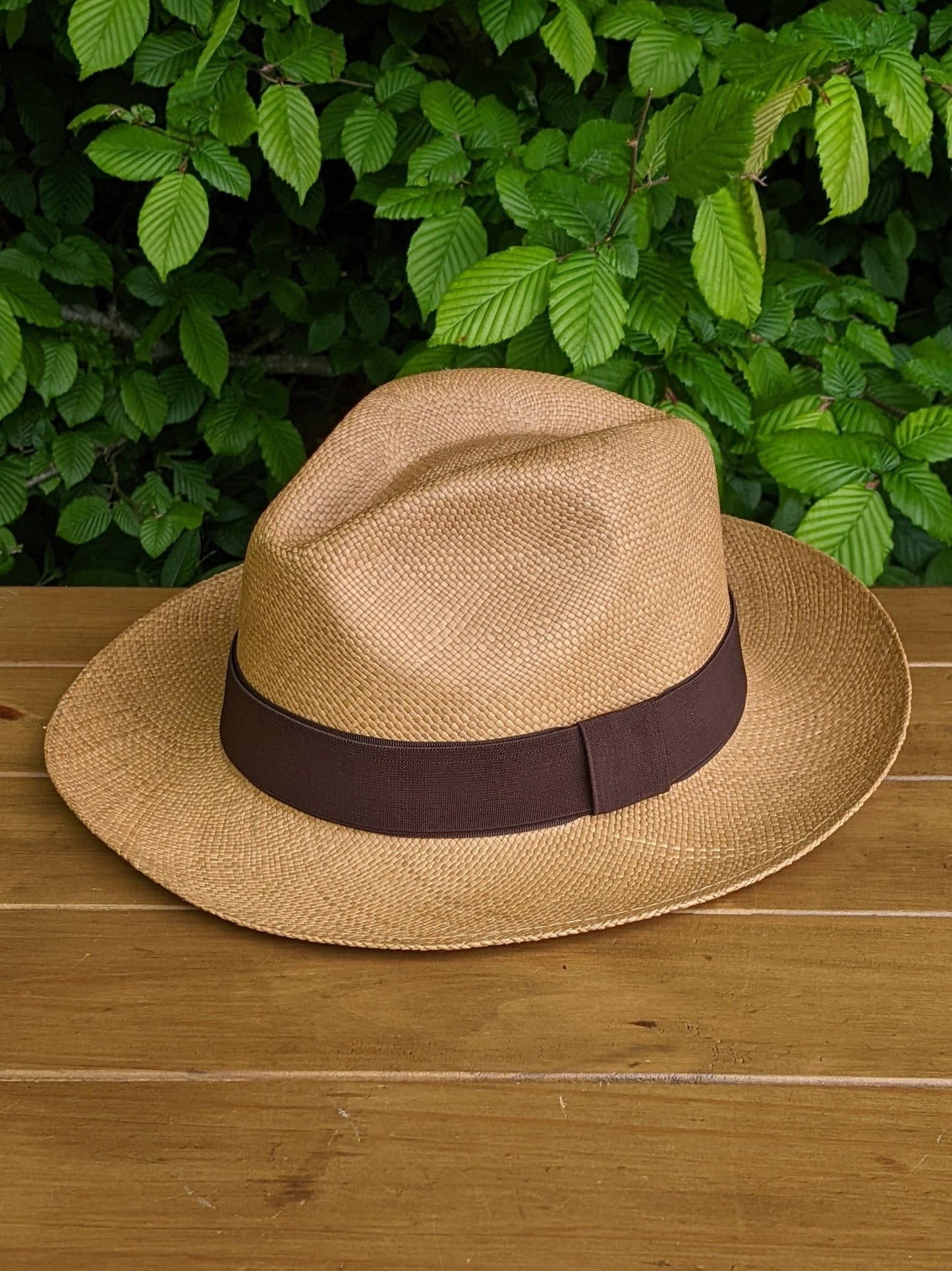 Brown Panama with Black Bow Band