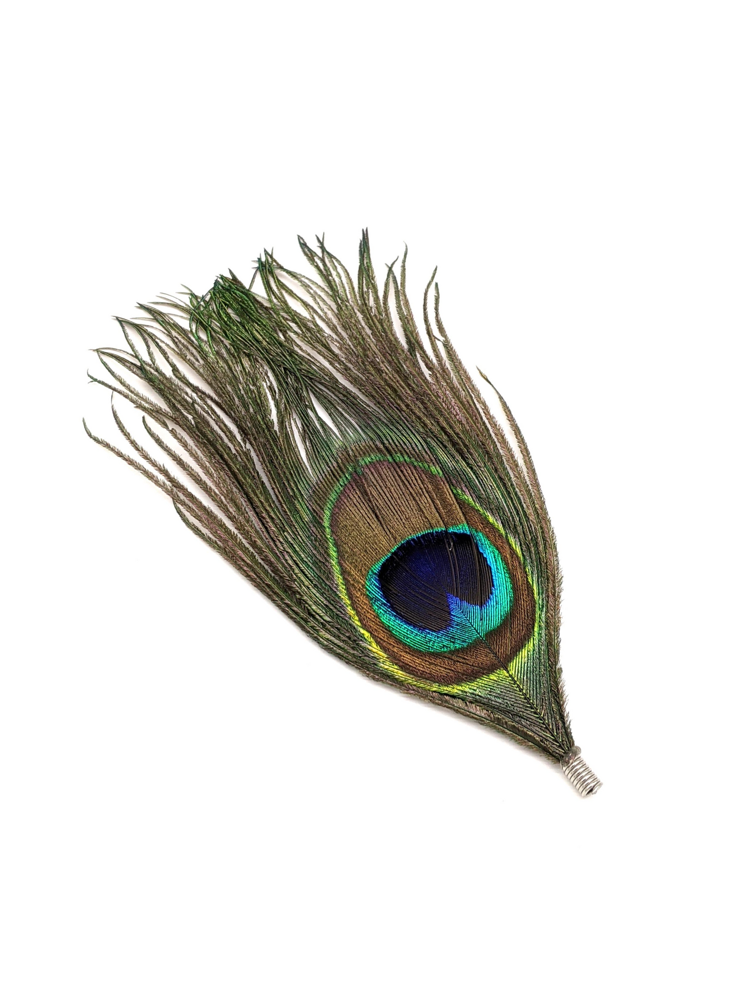 White Panama with Peacock Feather