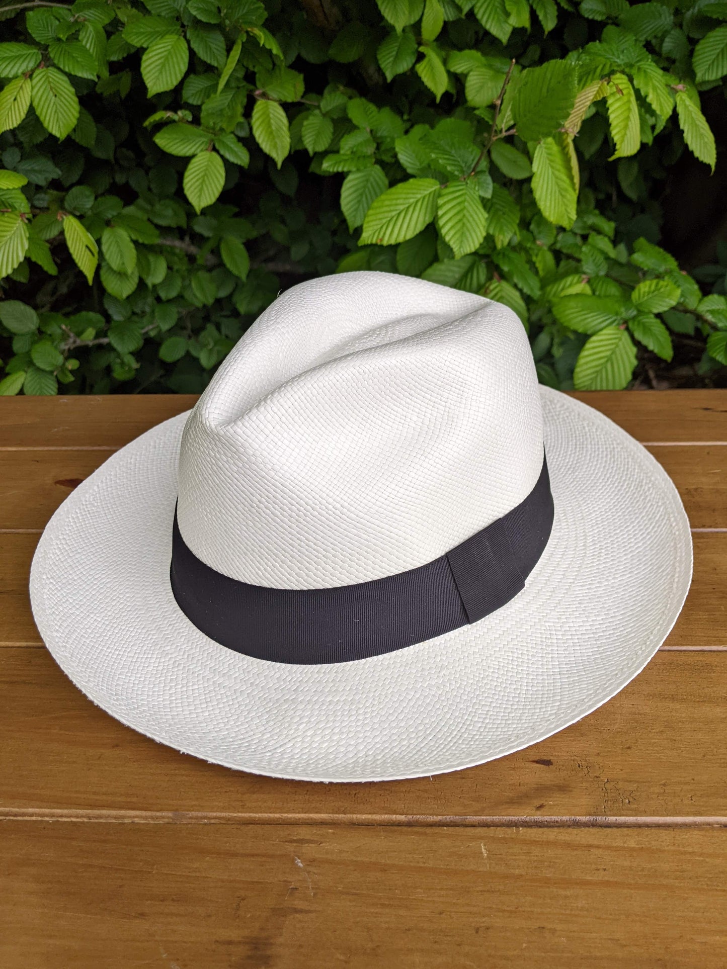 White Panama with Black Bow Band