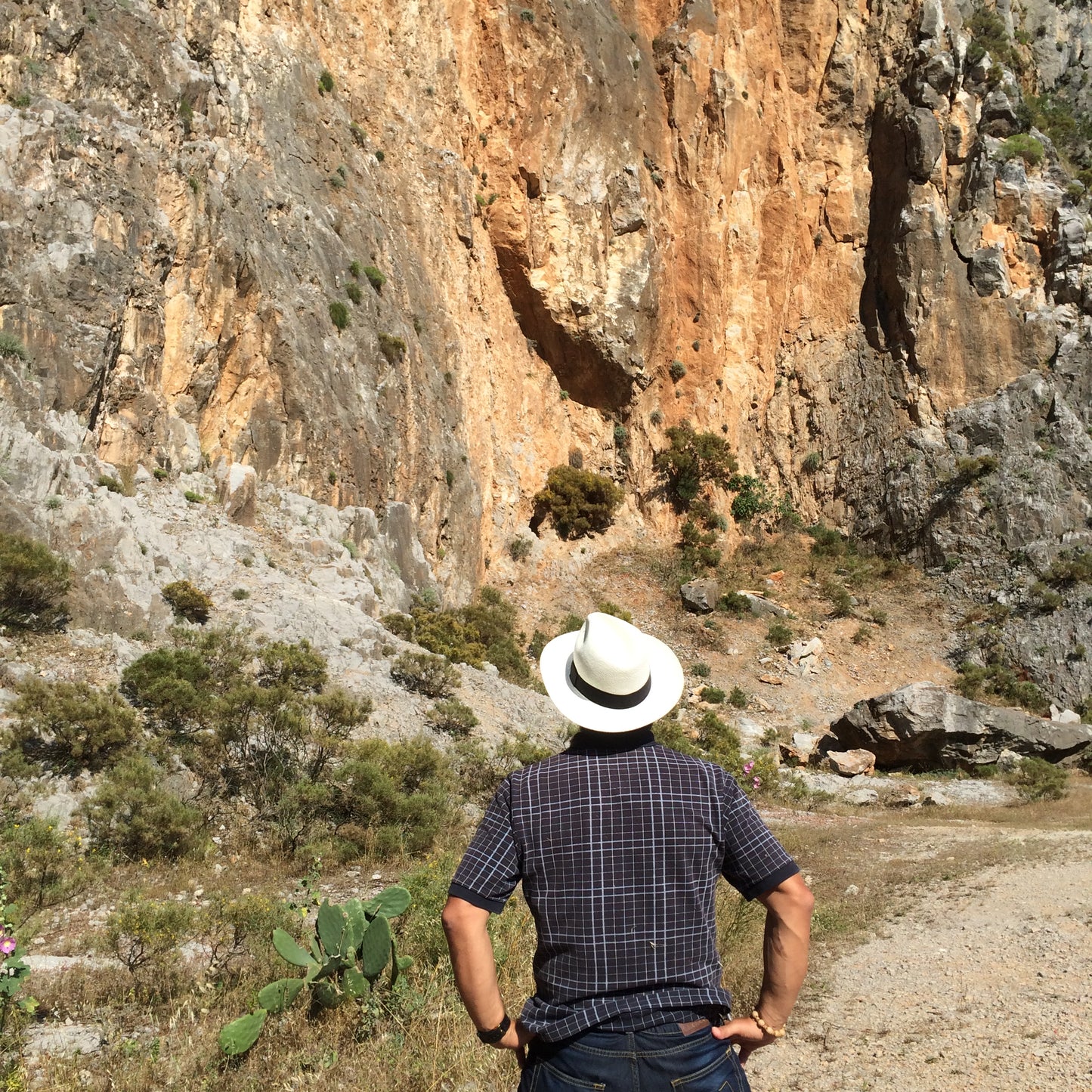 White Panama Hat