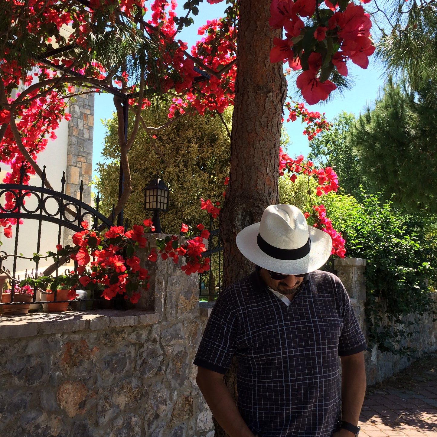 White Panama Hat