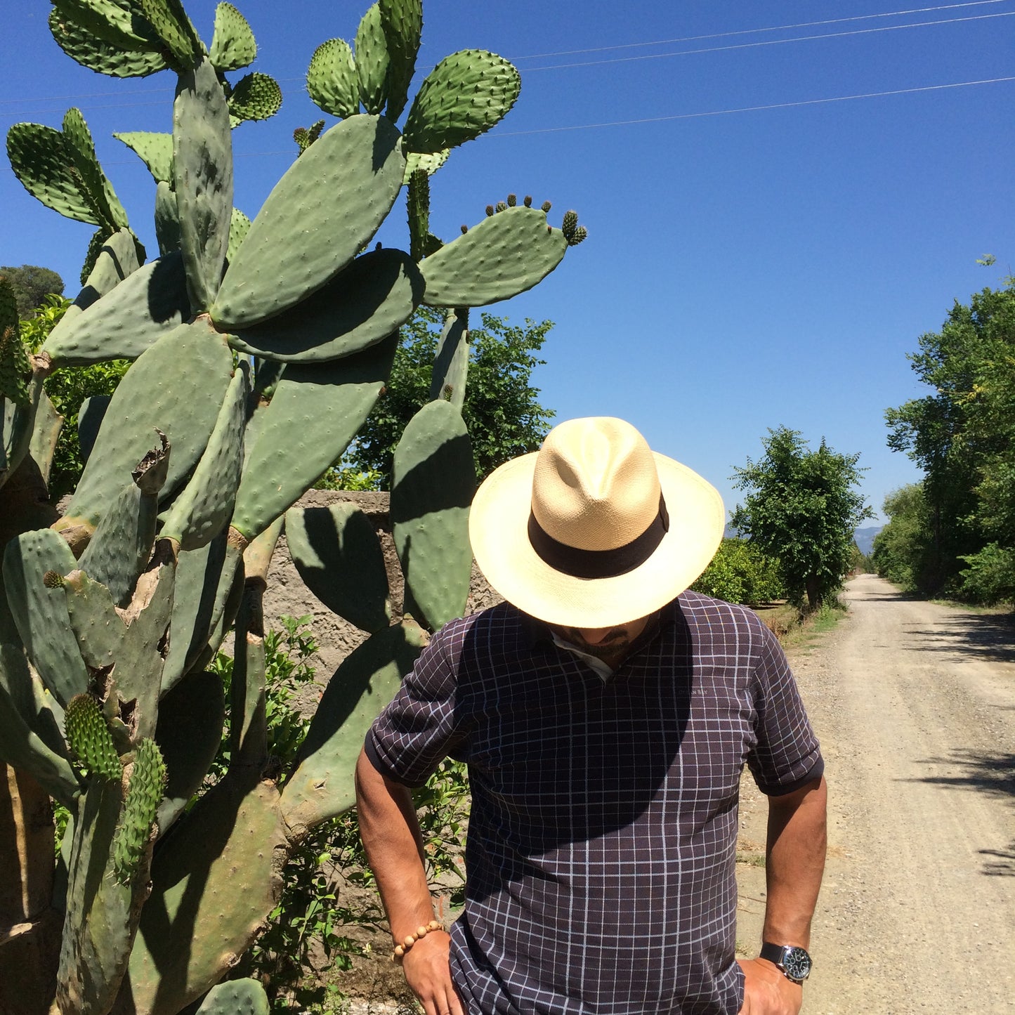 Natural Panama Hat & Travel Tube