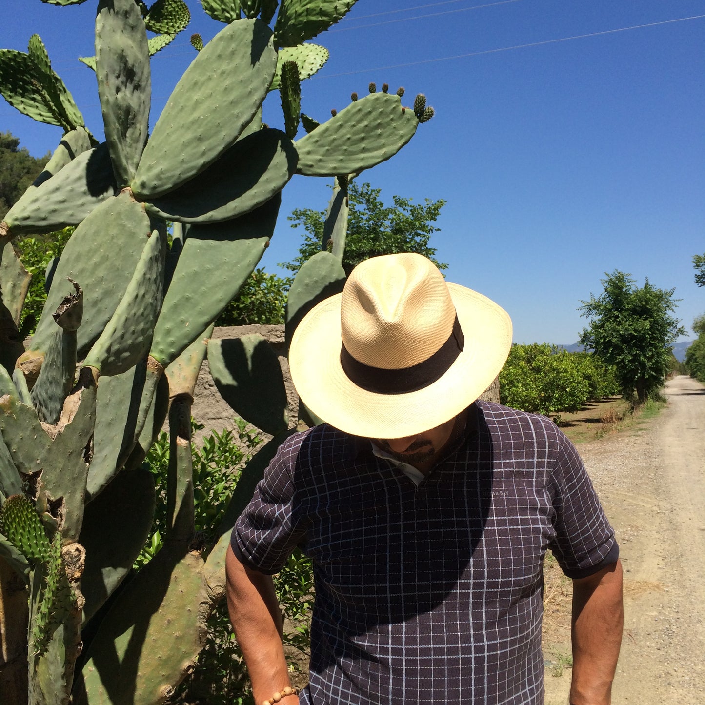 Natural Panama Hat