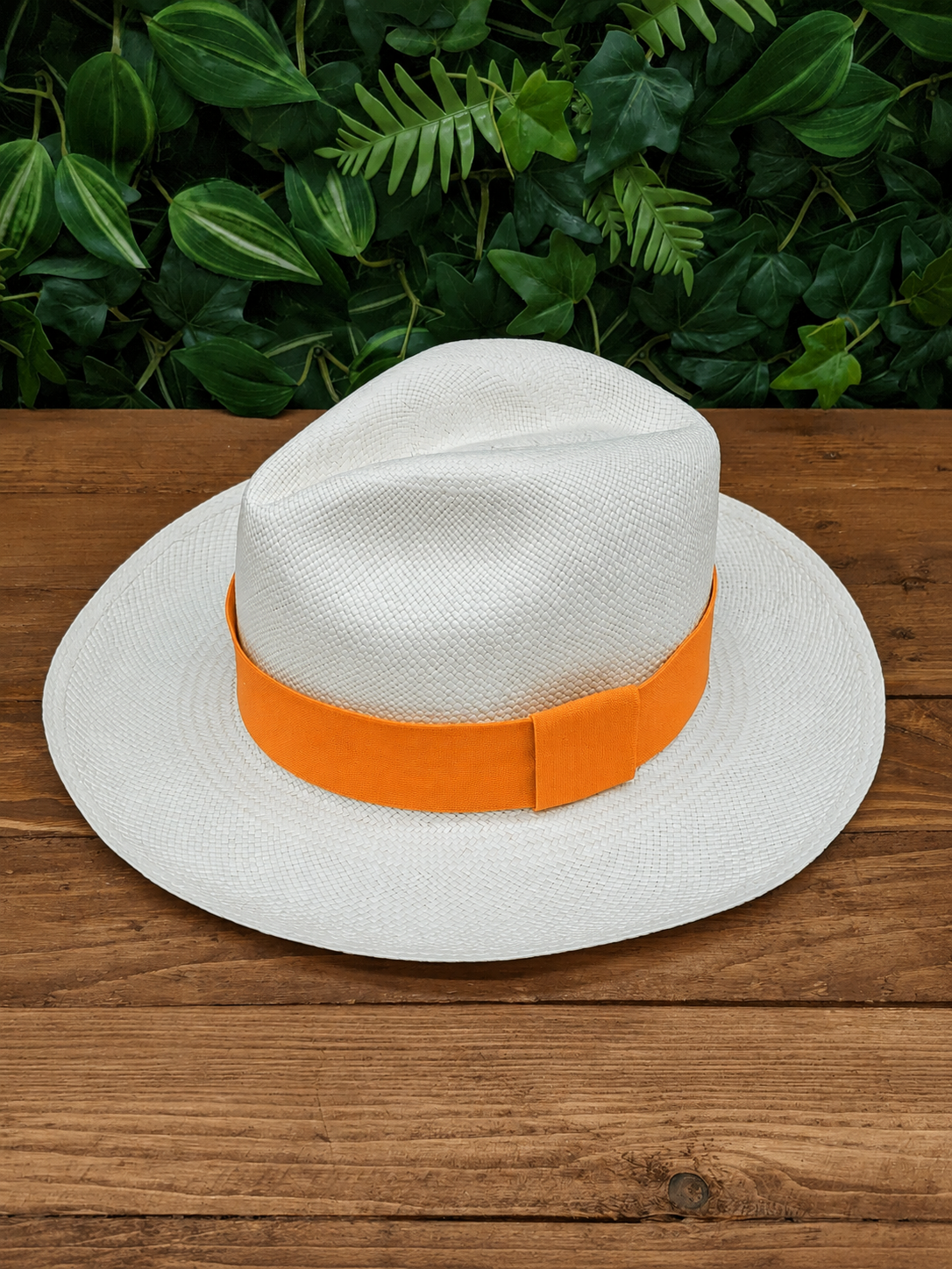 White Panama with Orange Band