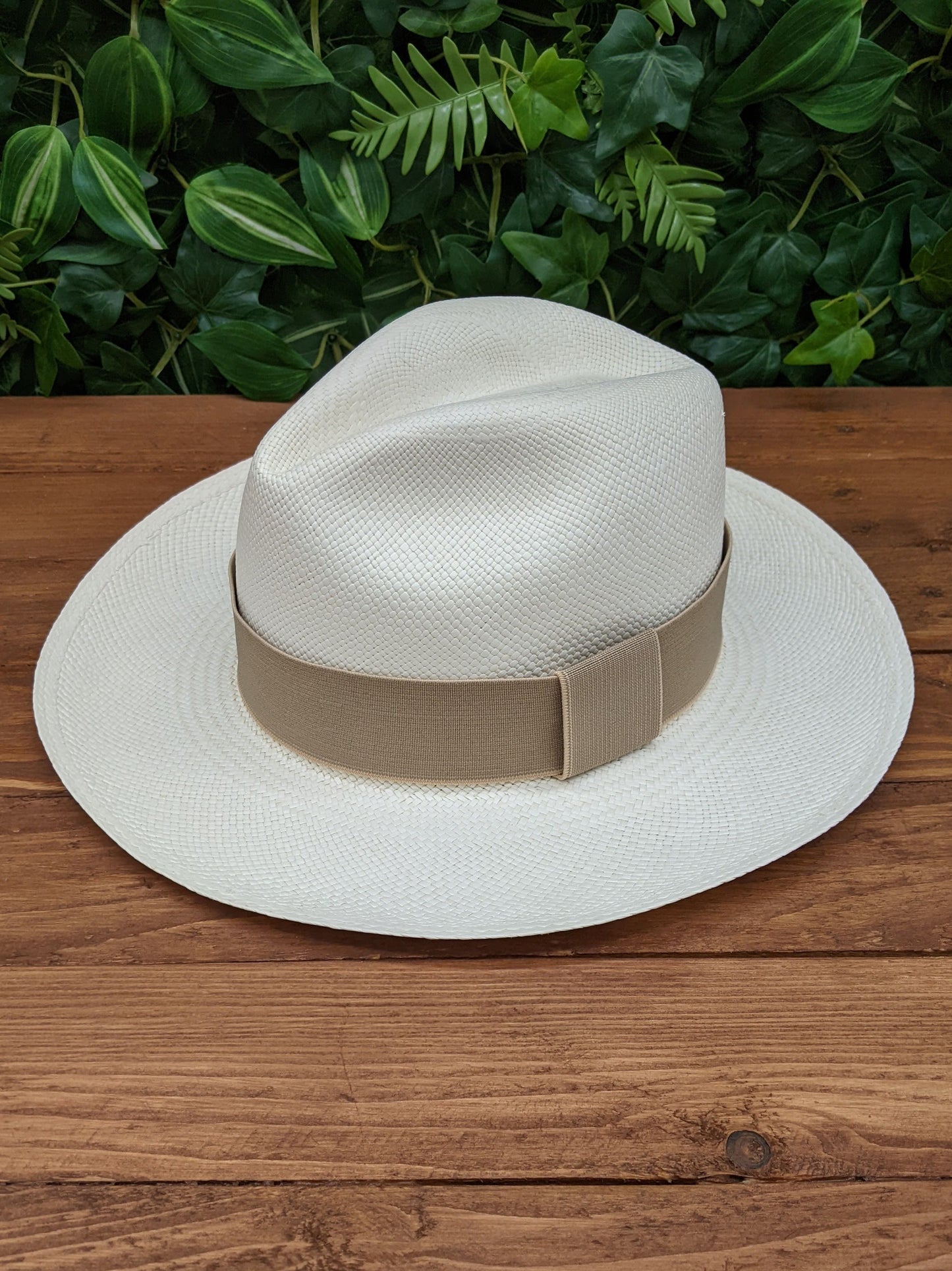 White Panama with Beige Band