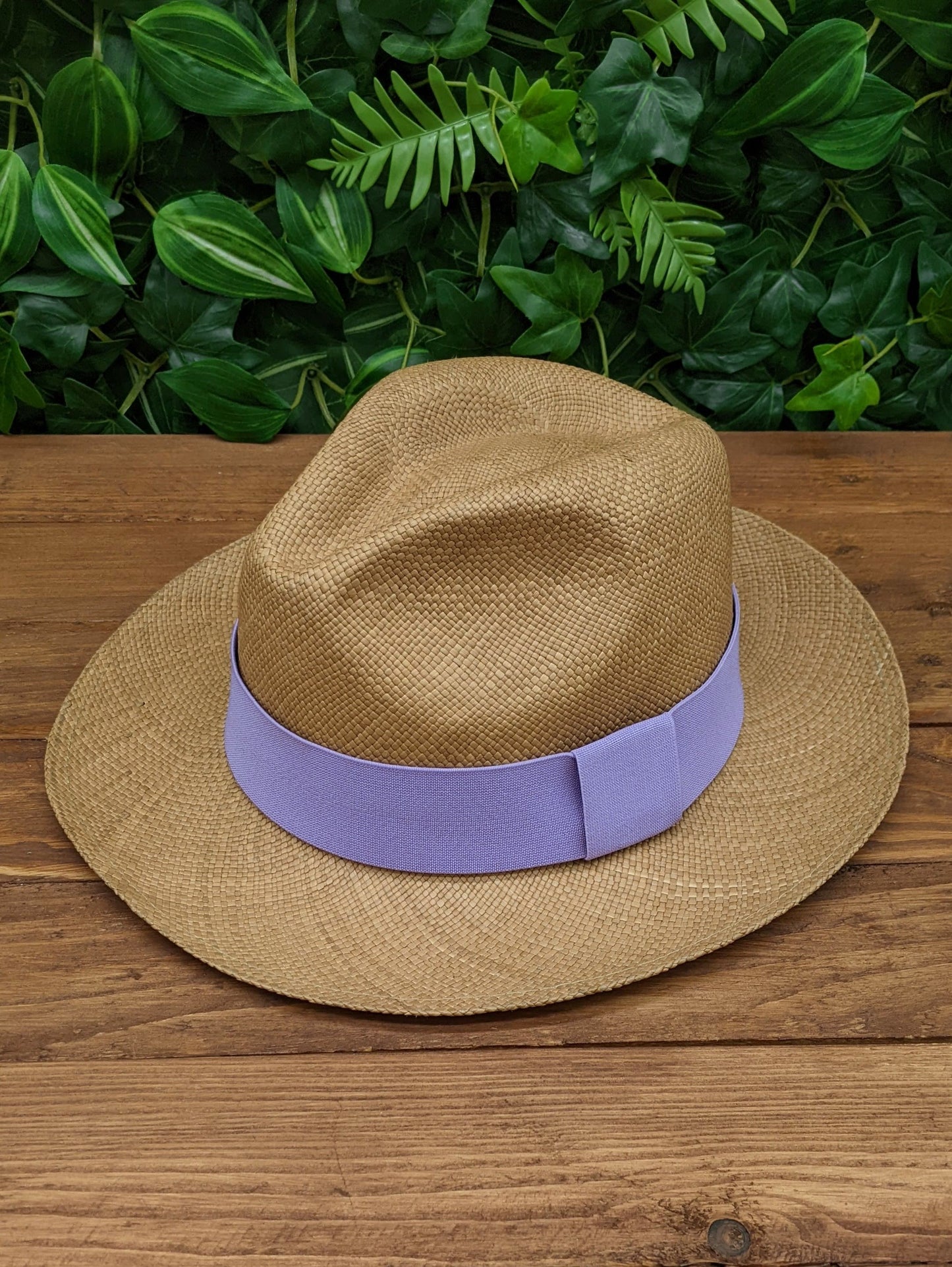 Brown Panama with Lilac Band