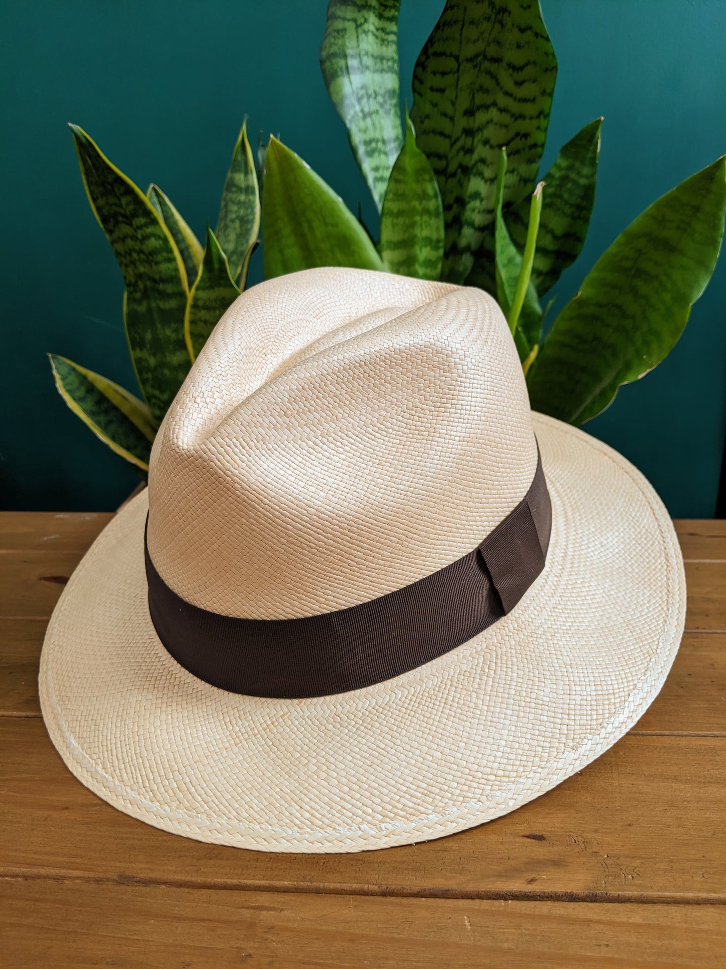 Natural Panama Hat with Brown Band - Travel Tube